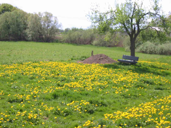 landschaft