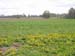 Landschaft1