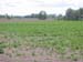 Landschaft2