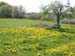 landschaft